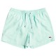 бански,гащета,мъжки,бански,костюми,quiksilver,everyday,volley,15´´,swimming,shorts,beach,glass,(green)