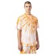 тениска,мъжки,тениски,dickies,seatac,short,sleeve,t,shirt,golden,ochre,(orange)