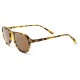 слънчеви,очила,слънчеви,очила,ocean,sunglasses,acapulco,sunglasses,demy,brown,(brown)