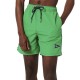 бански,гащета,мъжки,бански,костюми,superdry,vintage,varsity,swimming,shorts,botanical,green,(green)