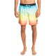 бански,гащета,мъжки,бански,костюми,quiksilver,faded,logo,17,swimming,shorts,multicolor