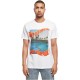 тениска,мъжки,тениски,mister,tee,save,skaters,life,short,sleeve,t,shirt,white,(white)