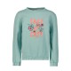 суичър,детски,блузи,garcia,u24461,hoodie,green,(petit,green)
