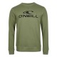 блуза,мъжки,пуловери,o´neill,n2750006,n2750006,sweatshirt,deep,lichen,green,(green)