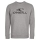 блуза,мъжки,пуловери,o´neill,n2750006,n2750006,sweatshirt,grey,(silver,melee)