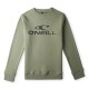 блуза,детски,блузи,o´neill,n4750003,n4750003,sweatshirt,green,(deep,lichen,green)