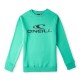 блуза,детски,блузи,o´neill,n4750003,n4750003,sweatshirt,sea,green