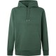 суичър,мъжки,пуловери,hackett,amr,embossed,hdy,hoodie,green