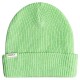 шапка,всички,шапки,roxy,island,fox,beanie,green,(sprucetone)