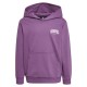 суичър,детски,блузи,hummel,fast,hoodie,argyle,purple,(purple)