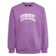 блуза,детски,блузи,hummel,fast,sweatshirt,purple,(argyle,purple)