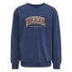 блуза,детски,блузи,hummel,fast,sweatshirt,sargasso,sea,(blue)