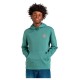 суичър,мъжки,пуловери,element,hollis,hoodie,north,atlantic,(green)