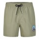бански,гащета,мъжки,бански,костюми,o´neill,cali,state,15´´,swimming,shorts,green