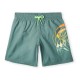 бански,гащета,детски,бански,костюми,o´neill,circle,surfer,14´´,swimming,shorts,north,atlantic,circle,surfer,gradient,(green)