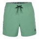 бански,гащета,мъжки,бански,костюми,o´neill,coast,ocean,15´´,swimming,shorts,green,(sea,green)