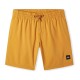 бански,гащета,детски,бански,костюми,o´neill,future,surf,society,14´´,swimming,shorts,nugget,(orange)