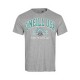 тениска,мъжки,тениски,o´neill,surf,state,short,sleeve,t,shirt,grey,(silver,melee)