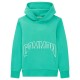 суичър,детски,блузи,tom,tailor,printed,hoody,1034967,hoodie,green,(holly,green)