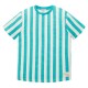 тениска,детски,тениски,tom,tailor,regular,striped,t,shirt,blue,(green,beige,vertical,stripe)