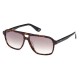 слънчеви,очила,слънчеви,очила,bmw,bw0039,sunglasses,brown,(dark,havana,gradient,green)