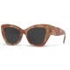 слънчеви,очила,слънчеви,очила,hanukeii,isla,tortuga,woman,sunglasses,tortoise,black,(beige)