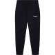 анцуг,детски,панталони,hackett,aston,martin,storm,joggers,black