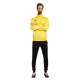 анцуг,мъжки,анцузи,joma,lion,ii,tracksuit,yellow,black,(yellow)