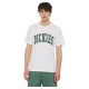 тениска,мъжки,тениски,dickies,aitkin,short,sleeve,t,shirt,white,dark,forest,(white)