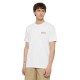 тениска,мъжки,тениски,dickies,ruston,short,sleeve,t,shirt,white,pale,green,(white)
