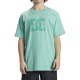 тениска,мъжки,тениски,dc,shoes,dcstar,pigment,short,sleeve,t,shirt,biscay,green,enzyme,wash