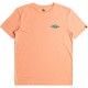 тениска,мъжки,тениски,quiksilver,fossilized,short,sleeve,t,shirt,papaya,punch,(orange)