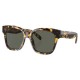 слънчеви,очила,слънчеви,очила,costa,nusa,polarized,sunglasses,tortoise,(golden)