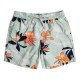 бански,гащета,мъжки,бански,костюми,billabong,vacay,swimming,shorts,multicolor,(seafoam)