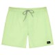 бански,гащета,мъжки,бански,костюми,rip,curl,daily,volley,swimming,shorts,patina,green,(green)