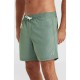 бански,гащета,мъжки,бански,костюми,o´neill,vert,16´´,swimming,shorts,green