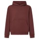 суичър,мъжки,пуловери,oakley,soho,po,3.0,hoodie,brown,(grenache)