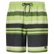 бански,гащета,мъжки,бански,костюми,oakley,sunset,rc,19´´,swimming,shorts,green,(gradient,stripes,light,green)