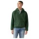 суичър,мъжки,пуловери,levi's®,a8611,hoodie,green