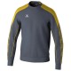 блуза,мъжки,пуловери,erima,evo,star,sweatshirt,slate,grey,yellow,(grey)