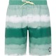 бански,гащета,детски,бански,костюми,protest,abel,swimming,shorts,frost,green,(green)