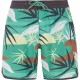 бански,гащета,мъжки,бански,костюми,protest,addo,swimming,shorts,frost,green,(multicolor)