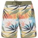 бански,гащета,мъжки,бански,костюми,protest,addo,swimming,shorts,multicolor,(tourma,blue)