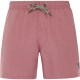 бански,гащета,мъжки,бански,костюми,protest,davey,swimming,shorts,pink,(deco,pink)