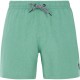 бански,гащета,мъжки,бански,костюми,protest,davey,swimming,shorts,frost,green,(green)