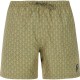 бански,гащета,мъжки,бански,костюми,protest,ezrin,swimming,shorts,green,(artic,green)