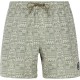бански,гащета,мъжки,бански,костюми,protest,flip,swimming,shorts,artic,green,(green)