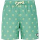 бански,гащета,детски,бански,костюми,protest,fonz,swimming,shorts,frost,green,(green)
