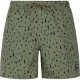 бански,гащета,мъжки,бански,костюми,protest,grom,swimming,shorts,artic,green,(green)