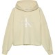 суичър,детски,блузи,calvin,klein,jeans,glitter,monogram,hoodie,beige
